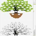 Stammbaum Vorlage Leer Elegant Stammbaum Stockfotografie Bild