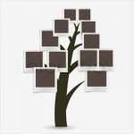 Stammbaum Vorlage Leer Erstaunlich Stammbaum Design Fügen Sie Ihre Fotos In Frames