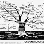 Stammbaum Vorlage Leer Fabelhaft Röhren Stammbaum