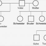 Stammbaum Vorlage Mit Geschwistern Bewundernswert Bin Laden Seine Brüder Und Dna – Bloodnacid