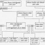 Stammbaum Vorlage Mit Geschwistern Erstaunlich File Stammbaum Adolf Hitler 3 Wikimedia Mons