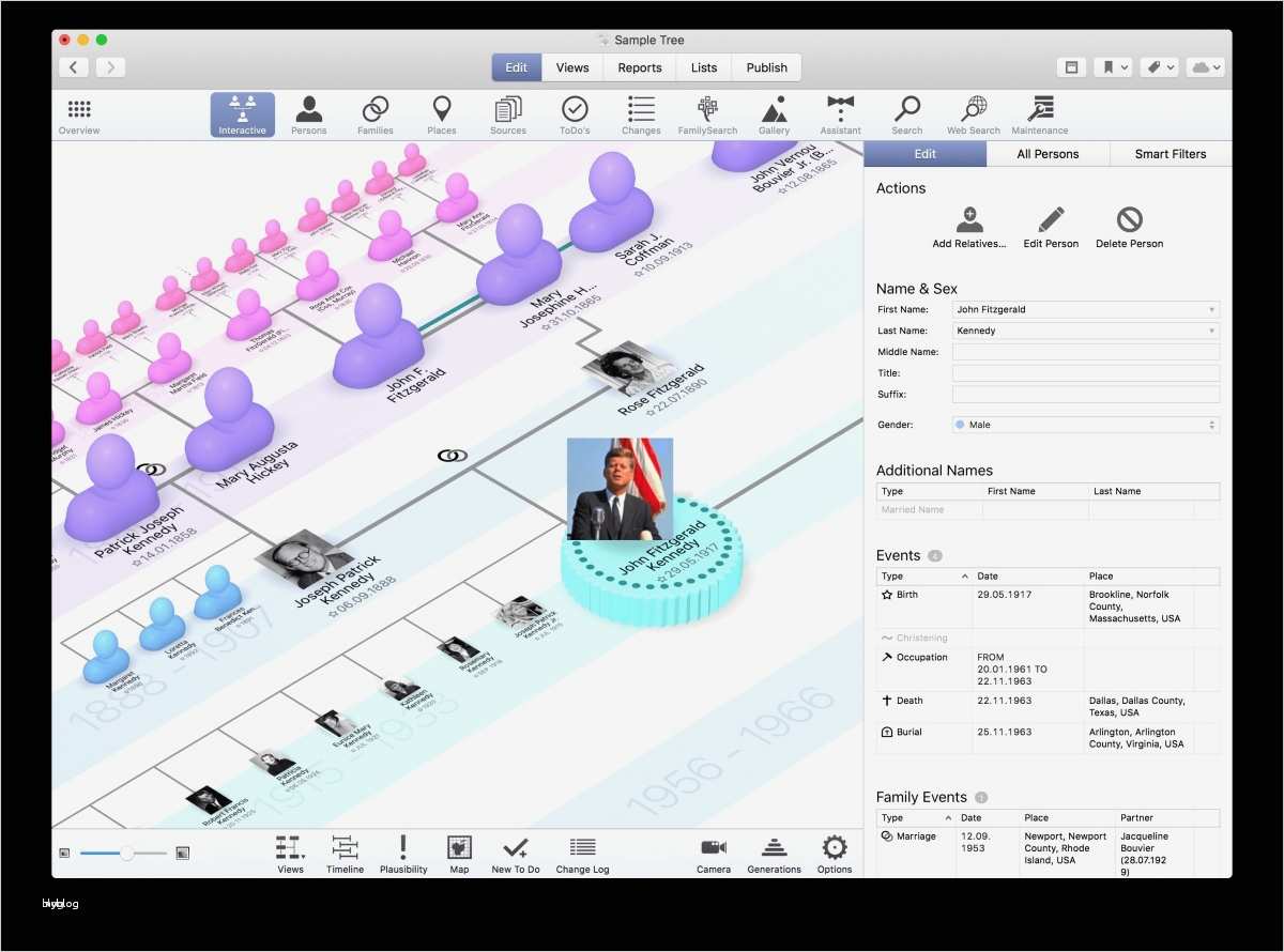Stammbaum Vorlage Mit Geschwistern Fabelhaft Großzügig Vergleichsmatrix Vorlage Bilder Entry Level