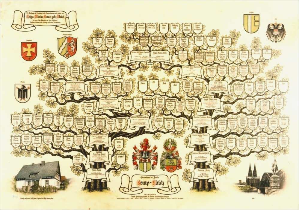 Stammbaum Vorlage Mit Geschwistern Luxus Stammbaum Erstellen Lassen Ahnenforschung Pro Heraldica