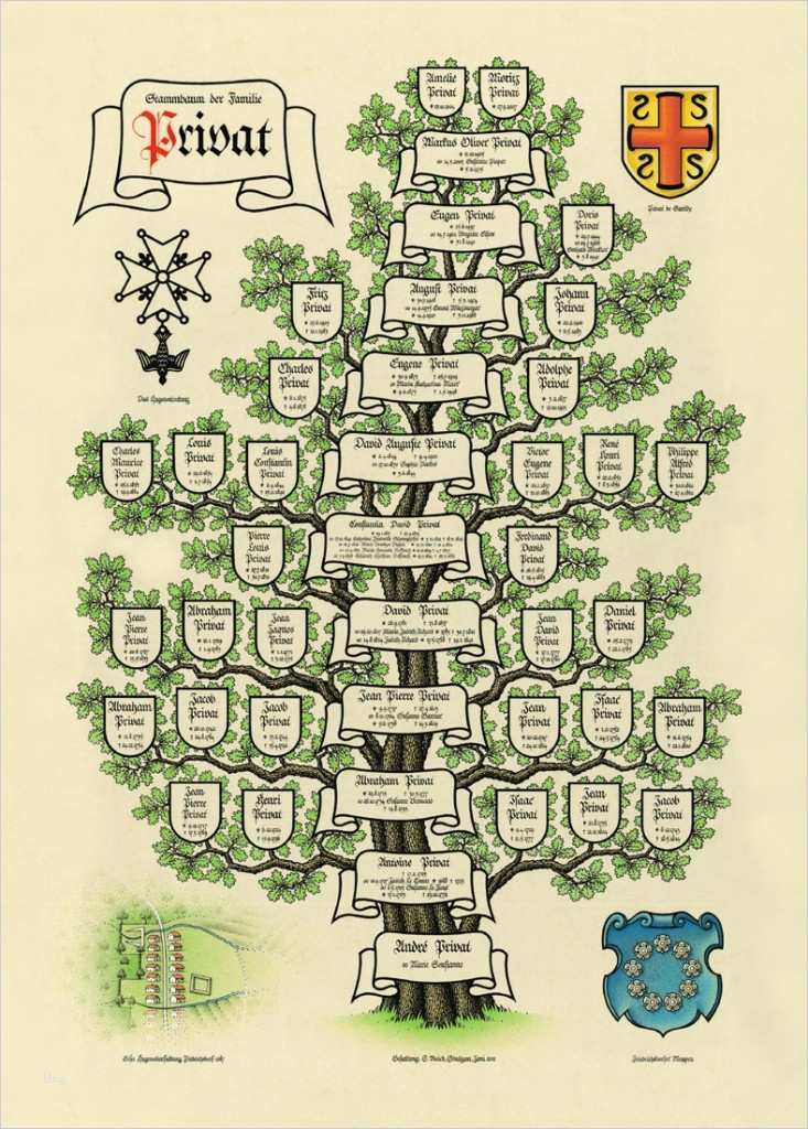 Stammbaum Vorlage Mit Geschwistern Neu Geneagraphiks