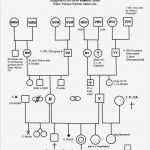 Stammbaum Vorlage Mit Geschwistern Schön Karl Rosenberger Heilung Mit Liebe Angebote Kurse