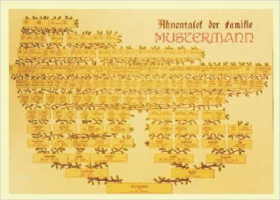 Stammbaum Vorlage Mit Geschwistern Schönste Stammbaum Erstellen