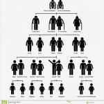 Stammbaum Vorlage Mit Geschwistern Schönste Stammbaum Genealogie Diagramm Piktogramm Lizenzfreie