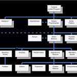 Stammbaum Vorlage Mit Geschwistern Wunderbar Agamemnon –