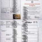 Stammbaum Vorlage Mit Geschwistern Wunderbar Stammbaum Berner Sennenhund Deckrüde Qiu Qashqai Vom