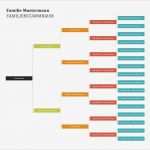 Stammbaum Vorlage Mit Geschwistern Wunderbar Ziemlich Stammbaum Vorlage In Word Bilder Bilder Für Das