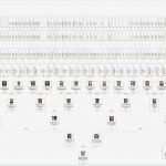 Stammbaum Vorlage Pdf Cool Gemütlich Stammbaum Stammbaum Vorlage Fotos Entry Level