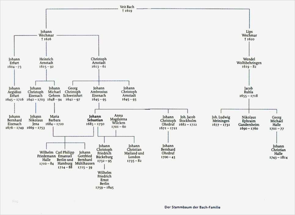 Stammbaum Vorlage Pdf Genial Großartig Stammbaum Pdf Vorlage Galerie Beispiel