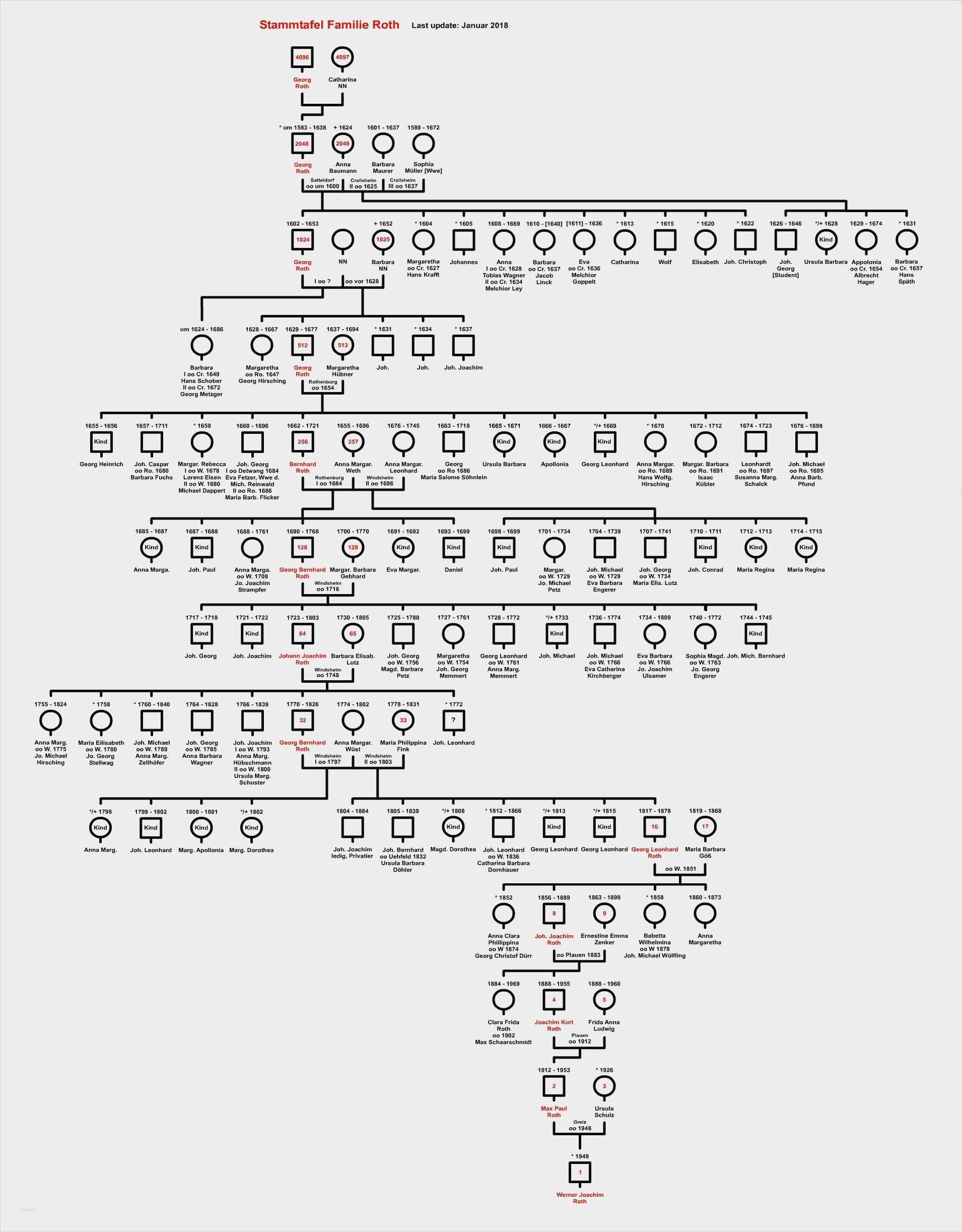 Stammbaum Vorlage Pdf Gut Großartig Stammbaum Pdf Vorlage Galerie Beispiel