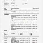 Stammbaum Vorlage Pdf Wunderbar Wunderbar Stammbaum Pdf Vorlage Bilder