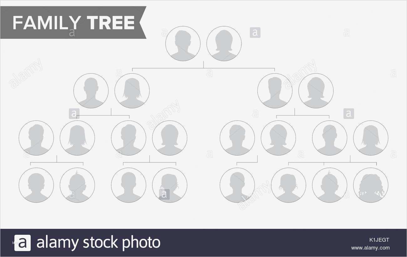 Stammbaum Vorlage Schön Stammbaum Vorlage Vektor Familiengeschichte Baum Mit