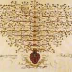 Stammbaum Vorlage Süß Stammbaum A66 1 564×1 000 Pixel A Int