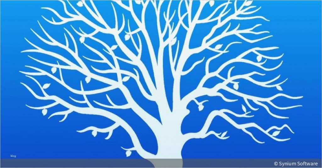 Stammbaum Vorlage Zum Ausdrucken Bewundernswert Ahnenforschung Leicht Gemacht so Erstellen Sie Ihren