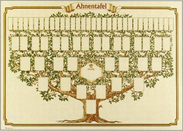 Stammbaum Vorlage Zum Ausdrucken Kostenlos Bewundernswert Stammbaum Vorlagen Familie Greve