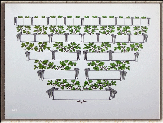 Stammbaum Vorlage Zum Ausfüllen Kostenlos Großartig Urkunden Ahnentafel Vorfahrentafel Schmuck