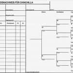 Stammbaum Vorlage Zum Ausfüllen Kostenlos Süß Ziemlich Stammbaum Stammbaum Vorlage Galerie Entry Level