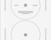 Staples Multiuse Labels Vorlage Wunderbar Avery Cd Label Template Professional Report