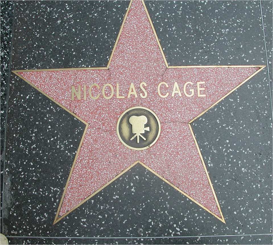 Star Of Fame Vorlage Wunderbar File Nicolas Cage Walk Of Fame Wikimedia Mons