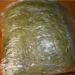 Starlight Express Gutschein Vorlage Wunderbar Tagesausflug Nach Bochum Starlight Express