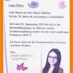 Steckbrief Erzieherin Kindergarten Vorlage Elegant 6 Steckbrief Erzieherin Kindergarten Vorlage