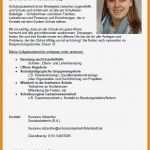 Steckbrief Erzieherin Kindergarten Vorlage Elegant Steckbrief Erzieherin Kindergarten Vorlage Best