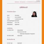 Steckbrief Erzieherin Kindergarten Vorlage Genial Berühmt Steckbriefe Vorlage Ideen Bilder Für Das