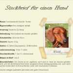 Steckbrief Grundschule Vorlage Hübsch Steckbrief