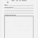 Steckbrief Tiere Grundschule Vorlage Elegant Die Besten 25 Steckbrief Tiere Ideen Auf Pinterest