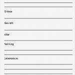 Steckbrief Tiere Grundschule Vorlage Großartig Schulmaterial Arbeitsblätter Für Unterstufe