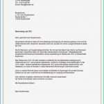 Stellenanzeige Gastronomie Vorlage Erstaunlich Anschreiben Bewerbung Ausbildung Gastronomie Kuechenhilfe