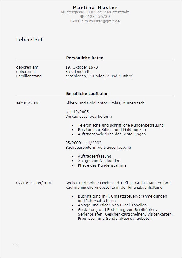 Stellenbeschreibung Teamleiter Vorlage Elegant Berühmt Finanzbuchhaltung Vorlage Fotos