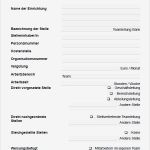 Stellenbeschreibung Vorlage Controller Erstaunlich Berühmt Vorlage Der Stellenbeschreibung Fotos Beispiel