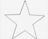 Stern Vorlage Zum Ausdrucken Luxus 31 Besten Stern Vorlage Bilder Auf Pinterest