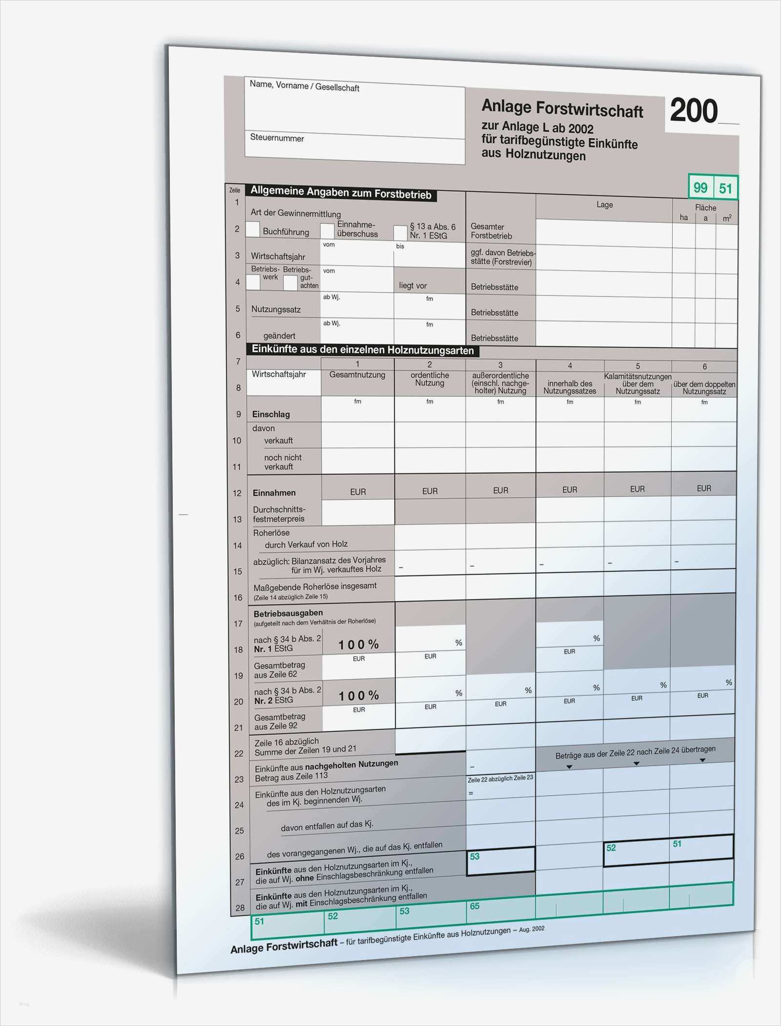 Steuererklärung Ausgefüllte Vorlage Hübsch Einkommensteuer 2005 Anlage forstwirtschaft formular