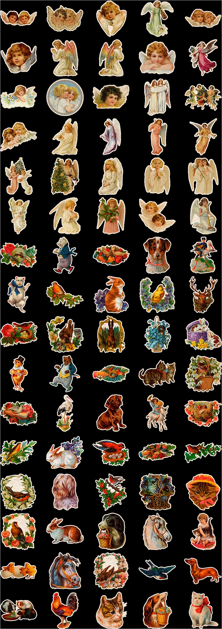 Fun Sticker Vintage Sticker Border