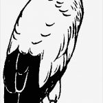 Storch Vorlage Erstaunlich Storch Im Gras Ausmalbild &amp; Malvorlage Tiere