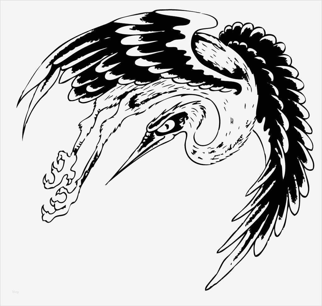 Storch Vorlage Großartig Storch Tattoo Vorlagen Bilder Storch Tattoo Vorlagenbild
