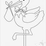 Storch Vorlage Luxus Sagome Cicogna Annuncio Nascita Bambino