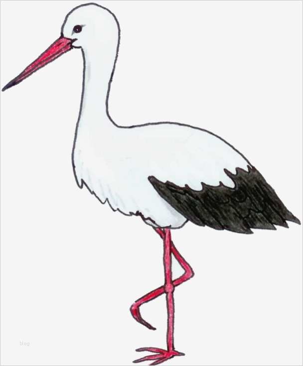 Storch Vorlage Wunderbar Bright Light torch Driverlayer Search Engine