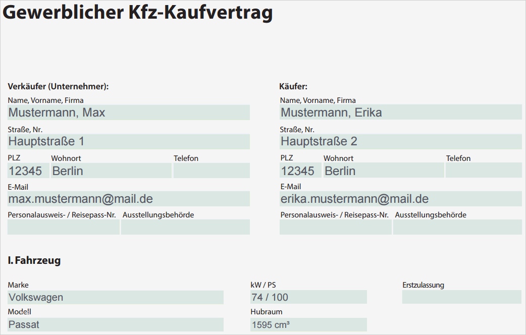 Store Check Vorlage Elegant Charmant Verkaufsformular Vorlage Bilder
