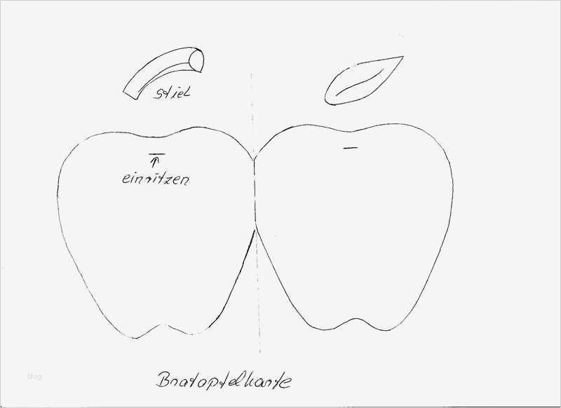 Strandkorb Basteln Vorlage Inspiration Schipis Kleine Bastelwelt