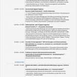 Sucht Lebenslauf Vorlage Best Of Niedlich Pflege Lehrplan Vorlage Fotos Entry Level