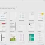 T Konten Vorlage Word Erstaunlich Erfreut T Kontenvorlage Fotos Dokumentationsvorlage