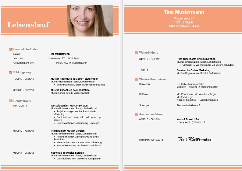 Tabellarischer Lebenslauf Ohne Foto Vorlage Schönste Lebenslauf Vordruck Vorlage Muster Tabellarischer