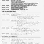 Tabellarischer Lebenslauf Stipendium Vorlage Schönste Lebenslauf Beispiele Und Vorlagen Zum Download