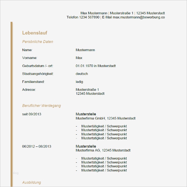 Tabellarischer Lebenslauf Stipendium Vorlage Süß Tabellarischer Lebenslauf Vordruck Bewerbung